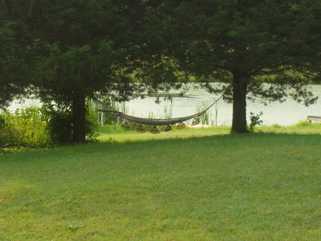 hammock strung beneath 2 trees with a pond in the background