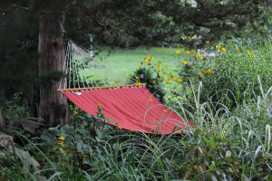 red hammock